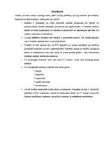 Referāts 'Reklāmas ietekme uz patērētāju', 21.