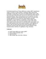 Referāts 'Literārā ekspedīcija pa Vizmas Belševicas romānā "Bille" aprakstītajam vietām Rī', 3.