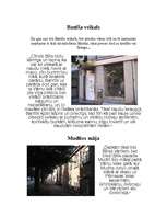 Referāts 'Literārā ekspedīcija pa Vizmas Belševicas romānā "Bille" aprakstītajam vietām Rī', 6.