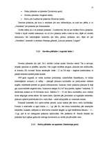 Diplomdarbs 'Kultūrvēsturiskā ainava Ņukšu pagastā', 13.