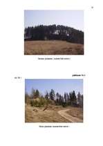 Diplomdarbs 'Kultūrvēsturiskā ainava Ņukšu pagastā', 53.