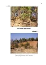 Diplomdarbs 'Kultūrvēsturiskā ainava Ņukšu pagastā', 54.