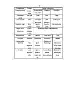 Referāts 'Konkurence', 5.