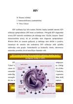 Referāts 'HIV / AIDS', 7.