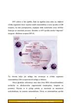 Referāts 'HIV / AIDS', 8.