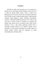 Referāts 'HIV / AIDS', 28.