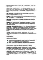 Konspekts 'Printeris', 3.