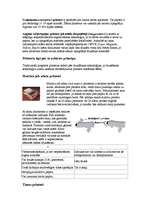 Konspekts 'Printeris', 4.