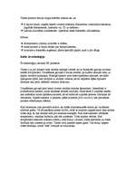 Konspekts 'Printeris', 5.