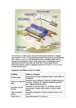 Konspekts 'Printeris', 8.