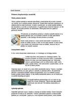 Konspekts 'Printeris', 12.