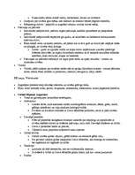 Konspekts 'Rietumeiropas morāles filosofija', 9.