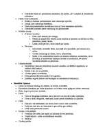 Konspekts 'Rietumeiropas morāles filosofija', 15.