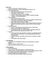 Konspekts 'Rietumeiropas morāles filosofija', 17.