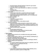 Konspekts 'Rietumeiropas morāles filosofija', 22.