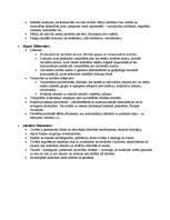 Konspekts 'Rietumeiropas morāles filosofija', 27.