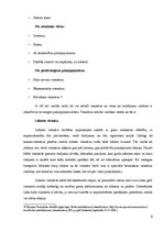 Referāts 'Tūrisma mītņu veidi', 9.