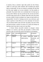 Prakses atskaite 'Mazbērnu attīstības izpēte', 2.