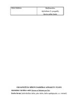 Prakses atskaite 'Mazbērnu attīstības izpēte', 7.