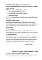 Prakses atskaite 'Mazbērnu attīstības izpēte', 9.