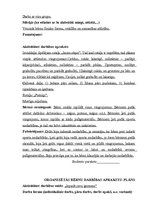 Prakses atskaite 'Mazbērnu attīstības izpēte', 10.