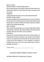 Prakses atskaite 'Mazbērnu attīstības izpēte', 11.