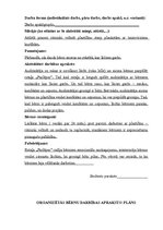 Prakses atskaite 'Mazbērnu attīstības izpēte', 12.