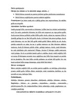 Prakses atskaite 'Mazbērnu attīstības izpēte', 16.