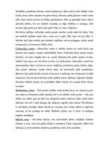 Prakses atskaite 'Mazbērnu attīstības izpēte', 19.