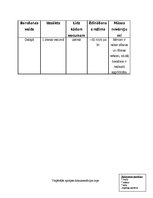 Prakses atskaite 'Aprūpes plāns', 5.