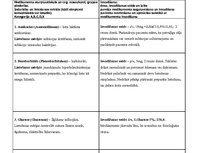 Prakses atskaite 'Aprūpes plāns', 15.