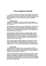 Referāts 'Mazgāšanas un tīrīšanas līdzekļi', 4.