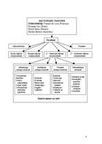 Referāts 'Uzņēmums "de Lune"', 9.