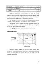 Referāts 'Uzņēmums "de Lune"', 13.