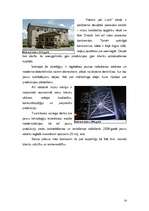 Referāts 'Uzņēmums "de Lune"', 14.