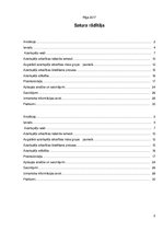 Referāts 'Jauniešu azartspēļu atkarības rašanās iemesli', 2.