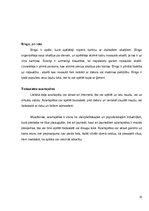 Referāts 'Jauniešu azartspēļu atkarības rašanās iemesli', 10.