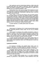 Konspekts 'Intelektuālais īpašums, tā aizsardzība', 3.