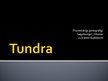 Prezentācija 'Tundra', 1.