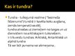 Prezentācija 'Tundra', 2.