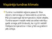 Prezentācija 'Tundra', 4.
