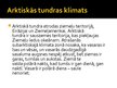 Prezentācija 'Tundra', 6.
