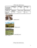 Referāts 'Saimnieciskā darbība Cenas tīrelī', 6.