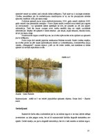 Referāts 'Saimnieciskā darbība Cenas tīrelī', 16.