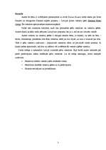 Referāts 'Viesnīcu ķēdes, tajās iekļauto viesnīcu darbības raksturojums', 3.