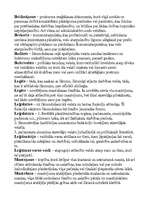 Konspekts 'Juridisko terminu skaidrojums', 2.