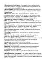 Konspekts 'Juridisko terminu skaidrojums', 3.