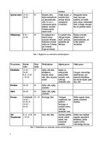 Biznesa plāns 'Mārketinga plāns restorānam "Flamenko"', 7.