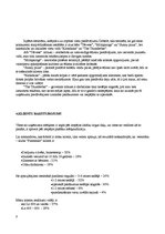 Biznesa plāns 'Mārketinga plāns restorānam "Flamenko"', 8.