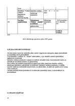 Biznesa plāns 'Mārketinga plāns restorānam "Flamenko"', 20.